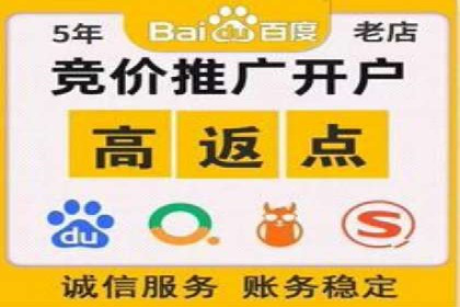 SEO与百度广告的结合：双管齐下的推广案例
